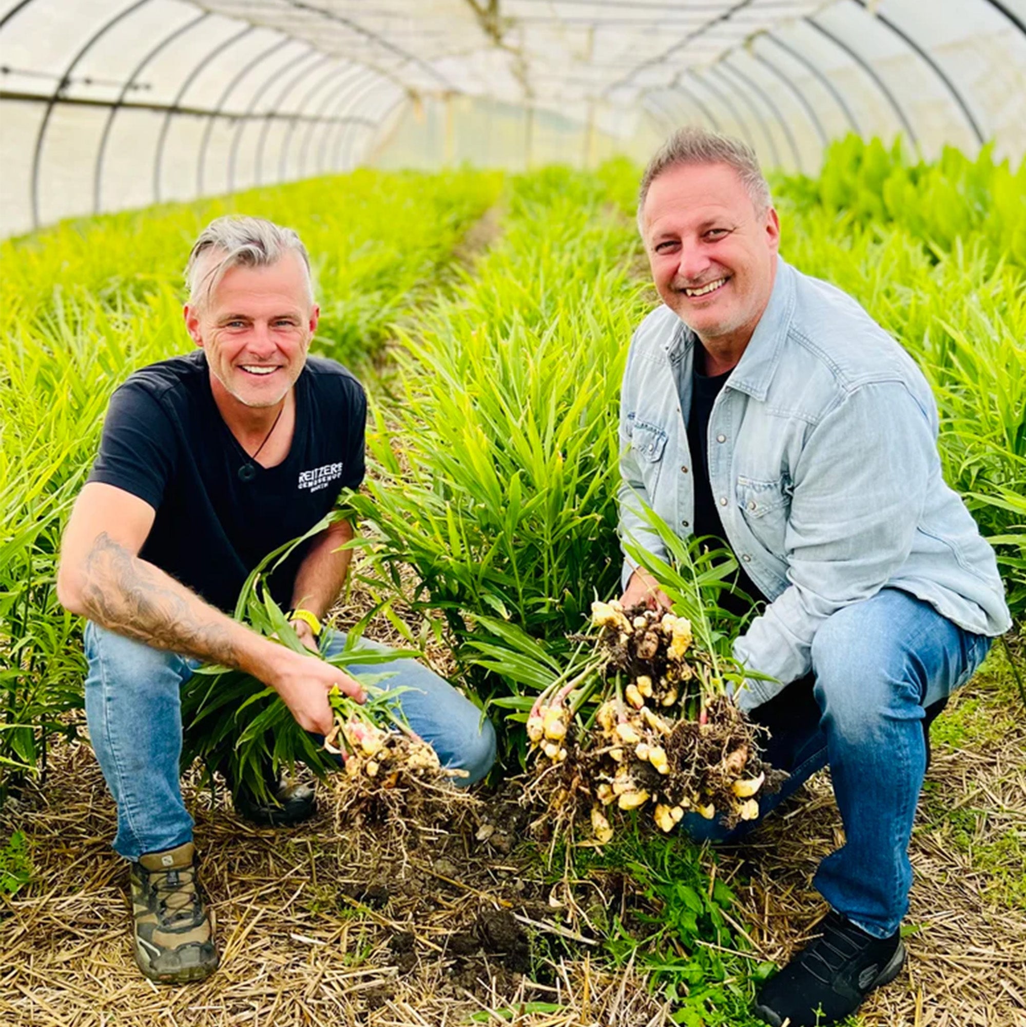 Bauers Bitter Herbs & Stress-Free SMOKE-FREE Set